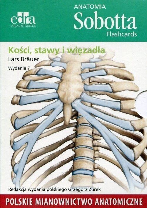 Anatomia Sobotta. Flashcards. Kości, stawy i więzadła