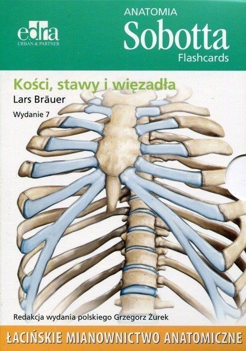 Anatomia Sobotta. Flashcards. Kości, stawy i więzadła