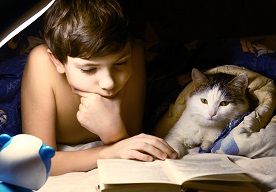 Najlepsze książki o kotach dla dzeci