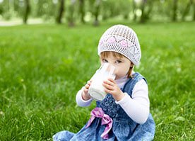 Mleka roślinne - jak przygotować mleko roślinne?