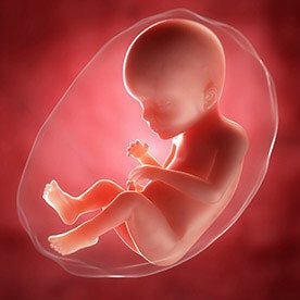 24 tydzień ciąży - wzmożona aktywność dziecka
