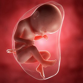 33 tydzień ciąży - wzrost zapotrzebowania na białko